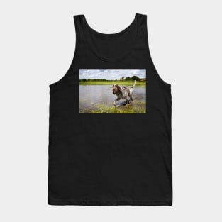 Going for a paddle Spinone Tank Top